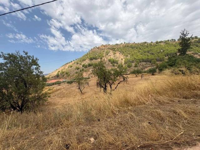 Terreno en venta en Río Mula, Murcia
