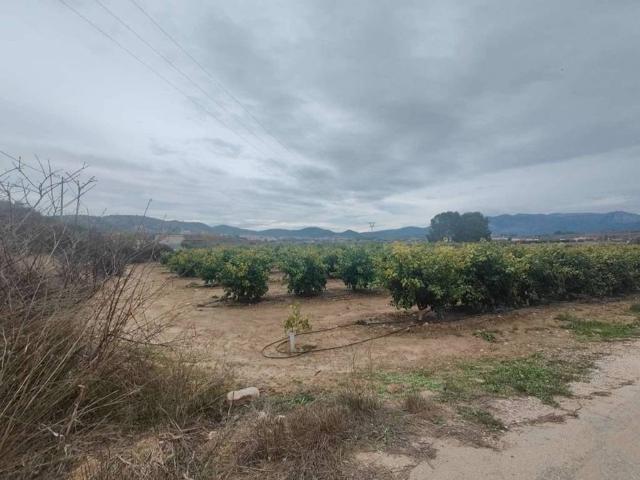 Terreno en venta en Río Mula, Murcia