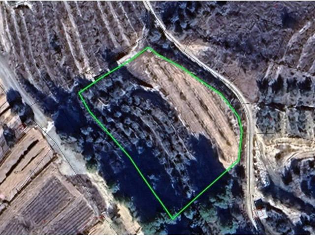 Terreno en venta en Río Mula, Murcia