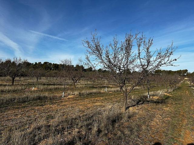 Terreno en venta en Garrigues, Catalunya