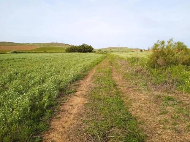 Terreno en venta en Poblete, Ciudad Real