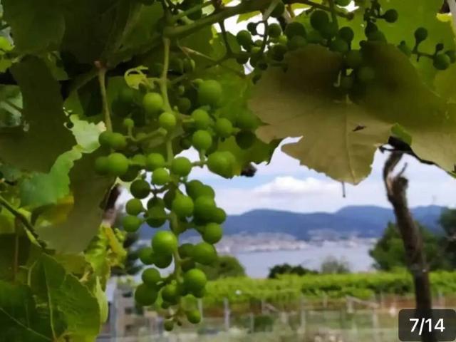 Terreno en venta en Poio, Pontevedra