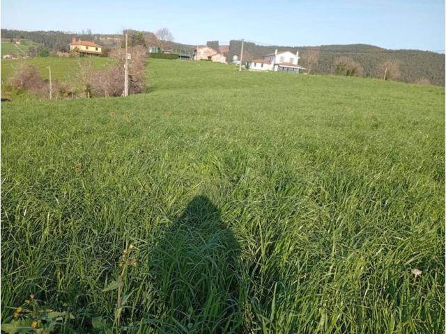 Terreno en venta en Polanco, Cantabria