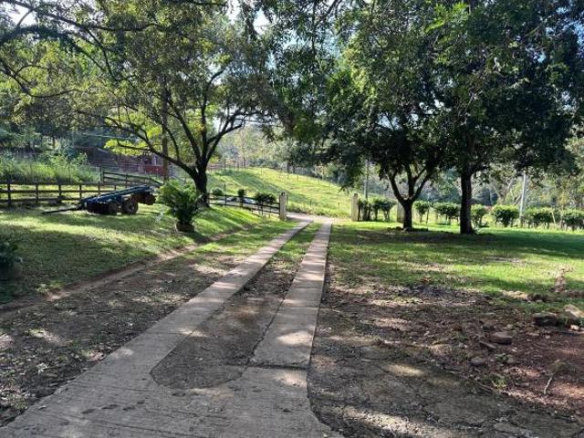 Terreno en venta en Polanco Capira