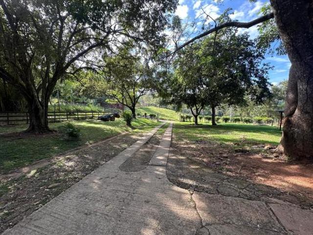 Terreno en venta en Polanco Capira