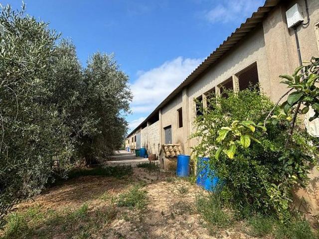 Terreno en venta en Ascó