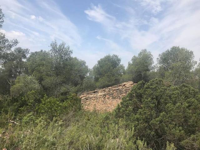 Terreno en venta en Xerta