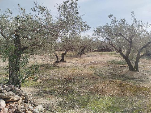 Terreno en venta en Aldover, Tarragona