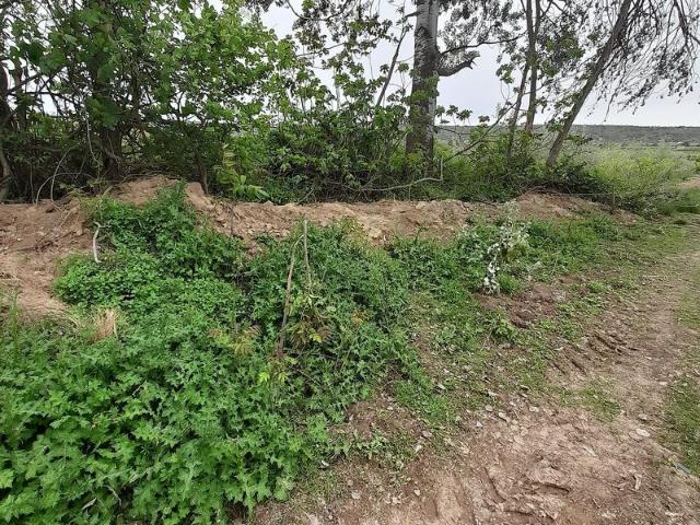 Terreno en venta en Garrigues, Catalunya