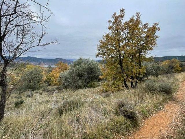 Terreno en venta en Sensui, Salàs de Pallars