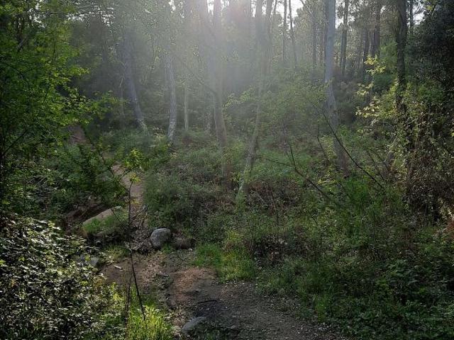 Terreno en venta en Gironès, Catalunya