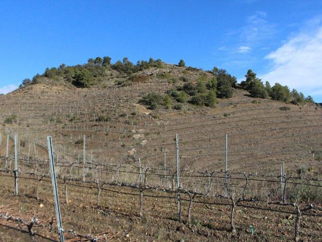 Terreno en venta en Priorat, Catalunya