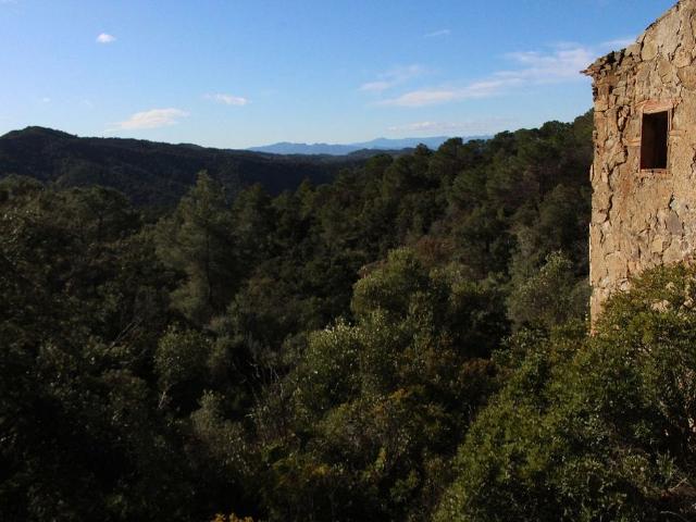 Terreno en venta en Priorat, Catalunya