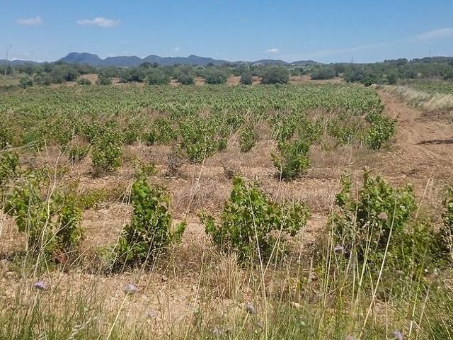 Terreno en venta en Alt Camp, Catalunya