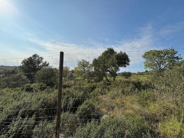Terreno en venta en Alt Empordà, Catalunya