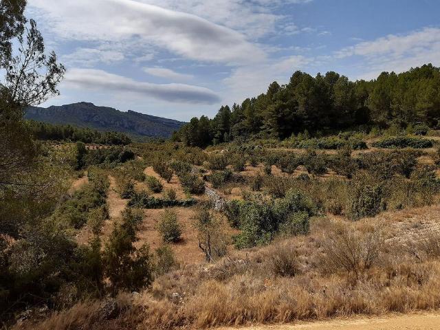 Terreno en venta en Tivissa, Tarragona