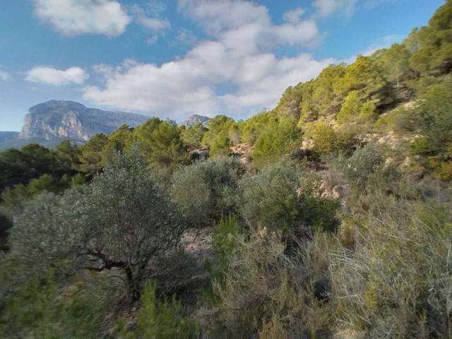 Terreno en venta en Polop, Alacant / Alicante