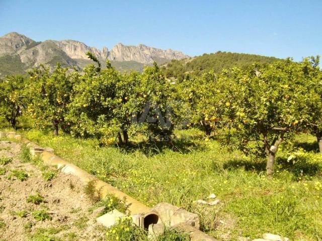 Terreno en venta en la Marina Baixa, Valencia