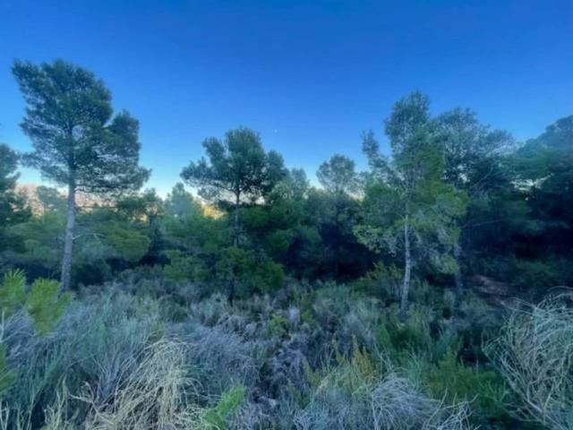 Terreno en venta en Polop, Alacant / Alicante