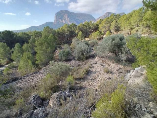 Terreno en venta en Polop Terreno en venta en Polop