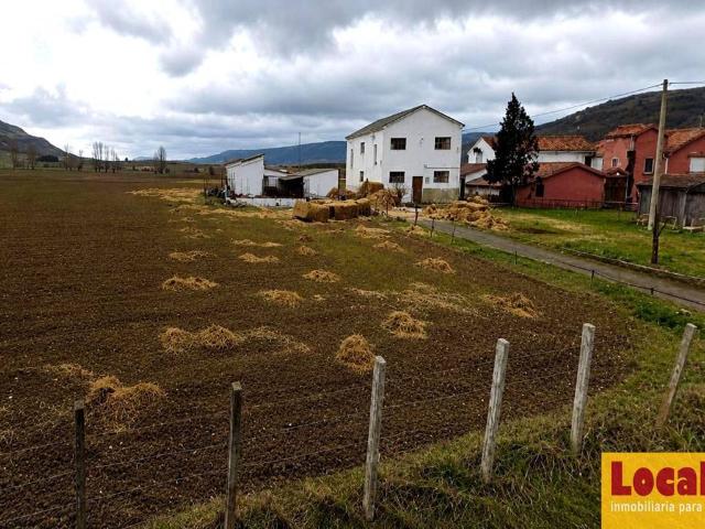 Terreno en venta en Pomar De Valdivia, Castilla y León