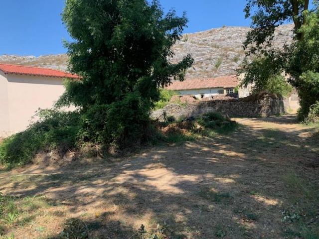 Terreno en venta en Pomar De Valdivia, Castilla y León