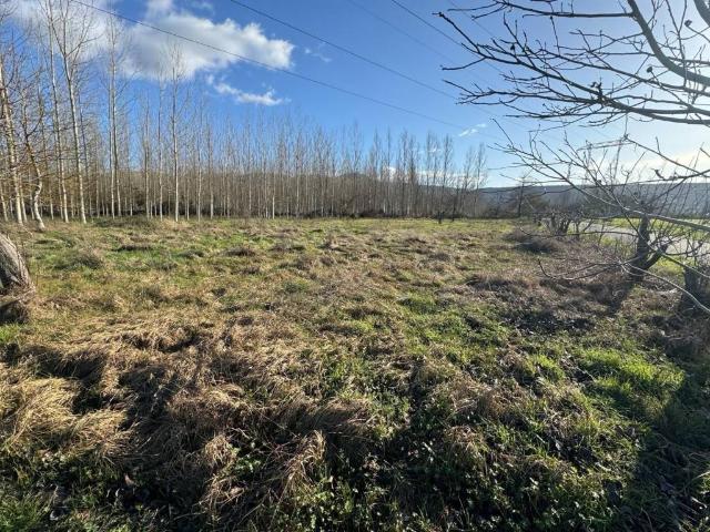 Terreno en venta en El Bierzo, Castilla y León