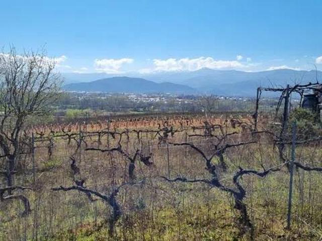 Terreno en venta en El Bierzo, Castilla y León