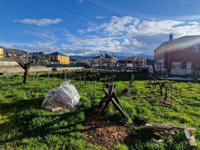 Terreno en venta en El Bierzo, Castilla y León