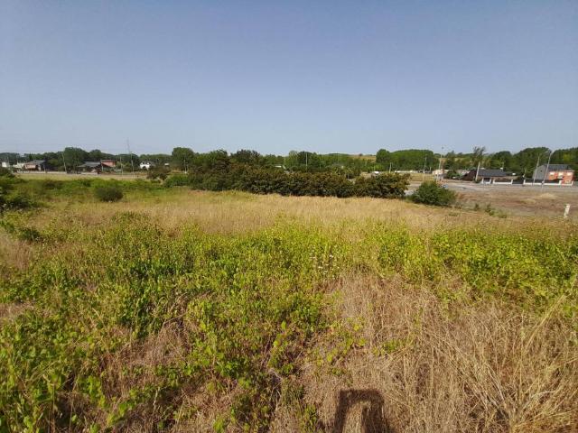 Terreno en venta en El Bierzo, Castilla y León