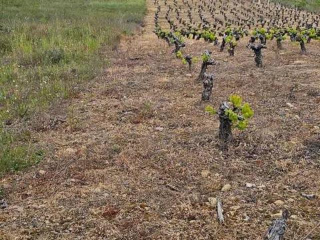 Terreno en venta en El Bierzo, Castilla y León