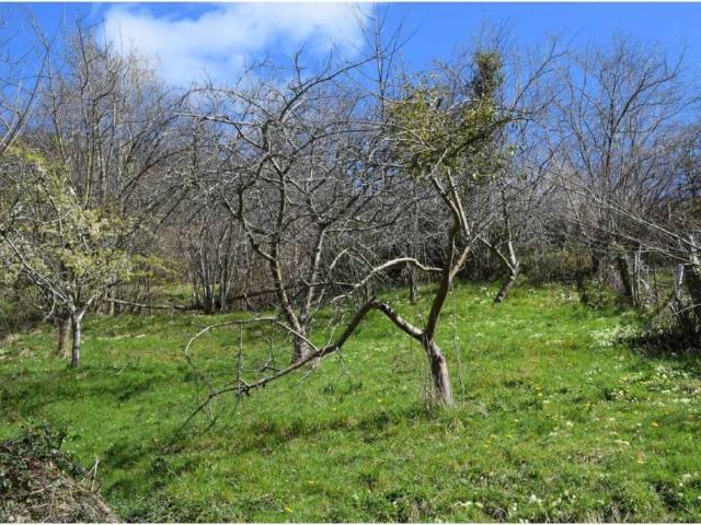 Terreno en venta en Ponga, Asturias