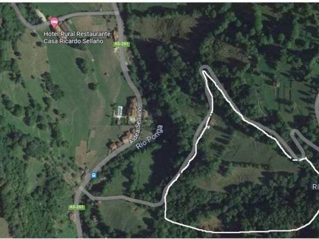 Terreno en venta en Ponga, Asturias
