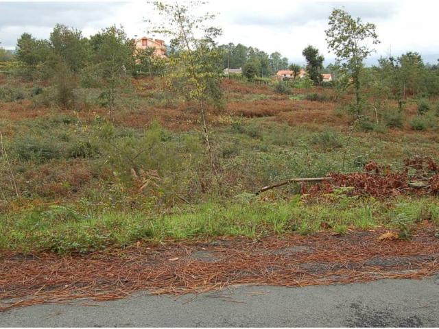 Terreno en venta en Chan da Gándara, O Condado