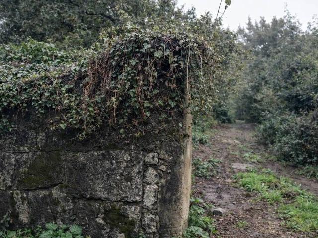 Terreno en venta en O Condado, Galicia
