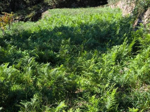 Terreno en venta en O Condado, Galicia