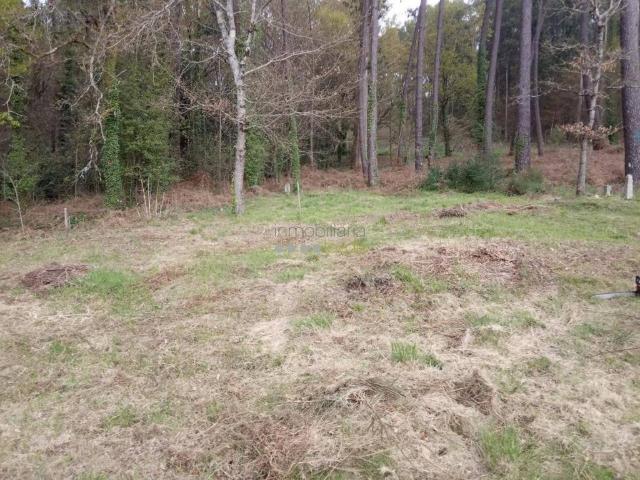 Terreno en venta en O Condado, Galicia