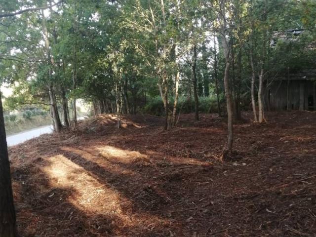 Terreno en venta en O Condado, Galicia