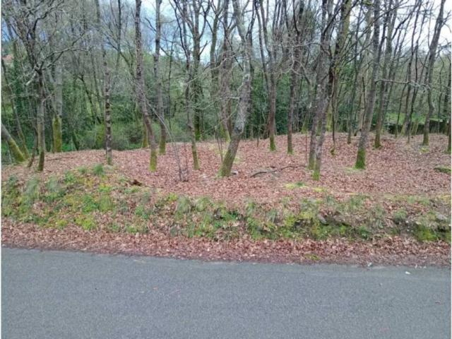 Terreno en venta en O Condado, Galicia