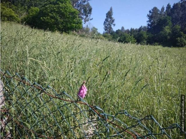 Terreno en venta en Pontevedra, Galicia