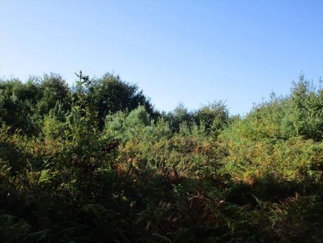 Terreno en venta en Vilafranca, Pontevedra