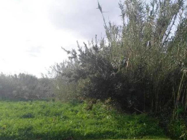 Terreno en venta en Salcedo, Pontevedra