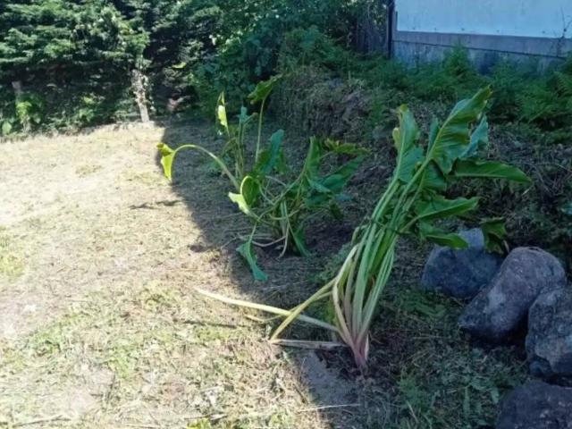 Terreno en venta en Pontevedra, Galicia