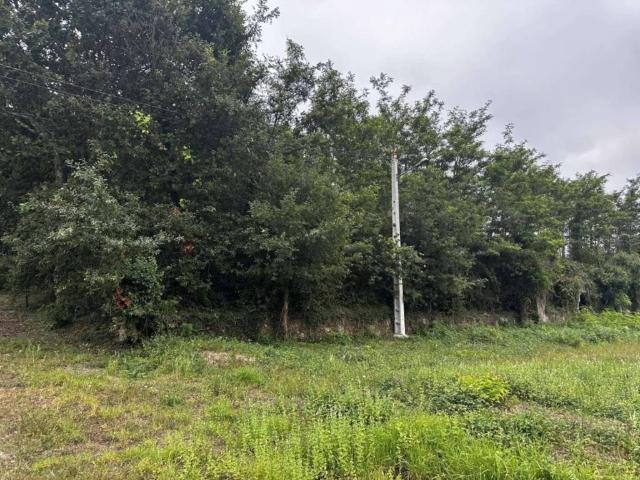 Terreno en venta en Pontevedra, Galicia