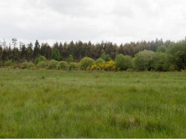 Terreno en venta en Tomeza, Pontevedra