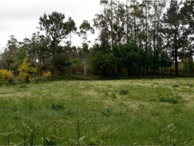 Terreno en venta en Tomeza, Pontevedra