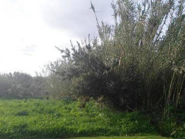 Terreno en venta en Pontevedra, San Brais