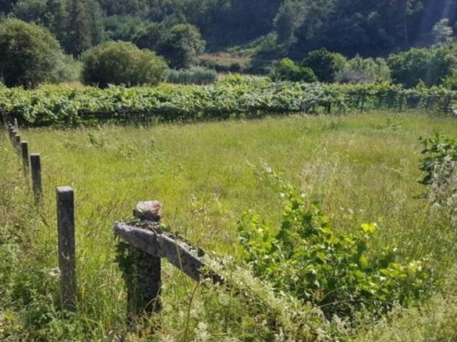 Terreno en venta en Pontevedra