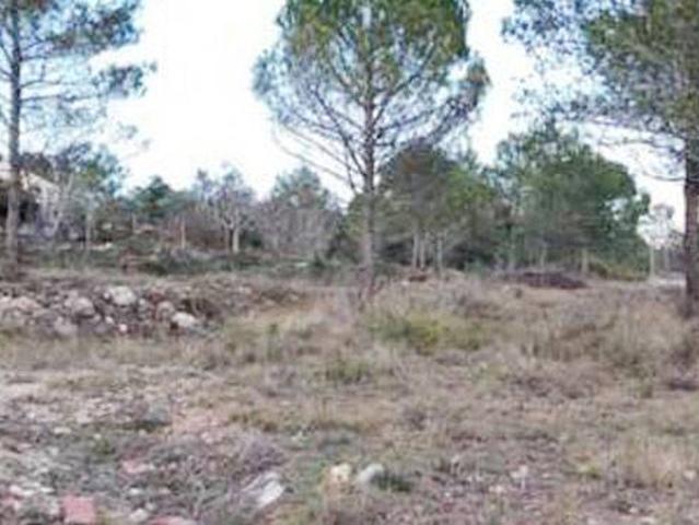 Terreno en venta en Alt Penedès, Catalunya