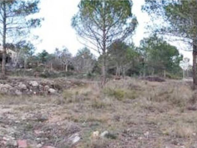 Terreno en venta en Alt Penedès, Catalunya